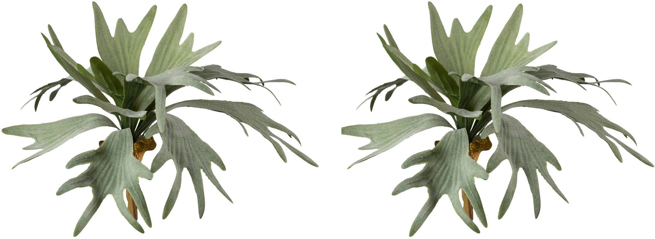 Kunstzweig Geweihfarn Farn, Creativ green, Höhe 35 cm günstig online kaufen