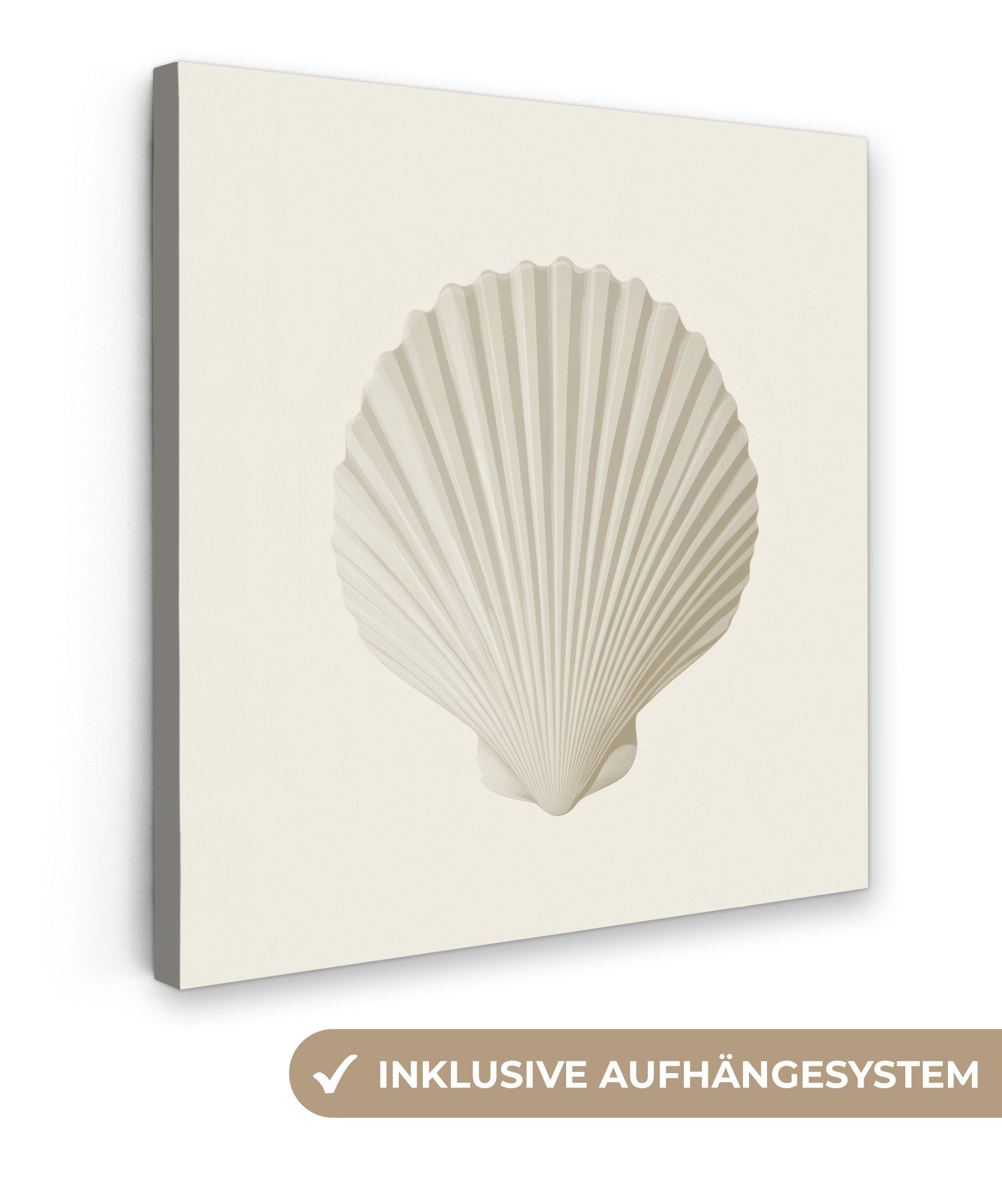 OneMillionCanvasses® Leinwandbild Muschel - Minimalistisch - günstig online kaufen