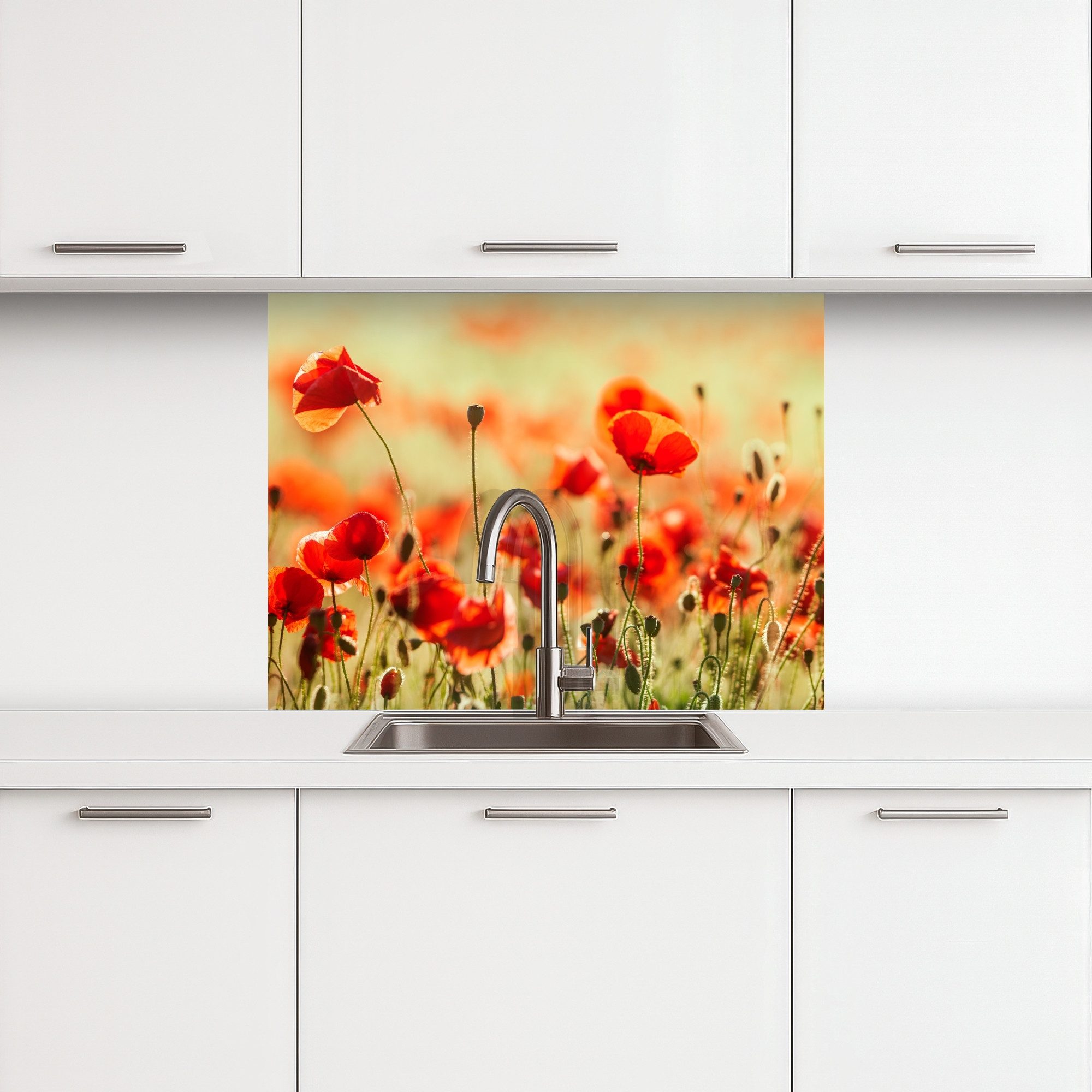 KitchenYeah Küchenrückwand selbstklebend Mohnblumen - Blumen - Rot - Blumen günstig online kaufen