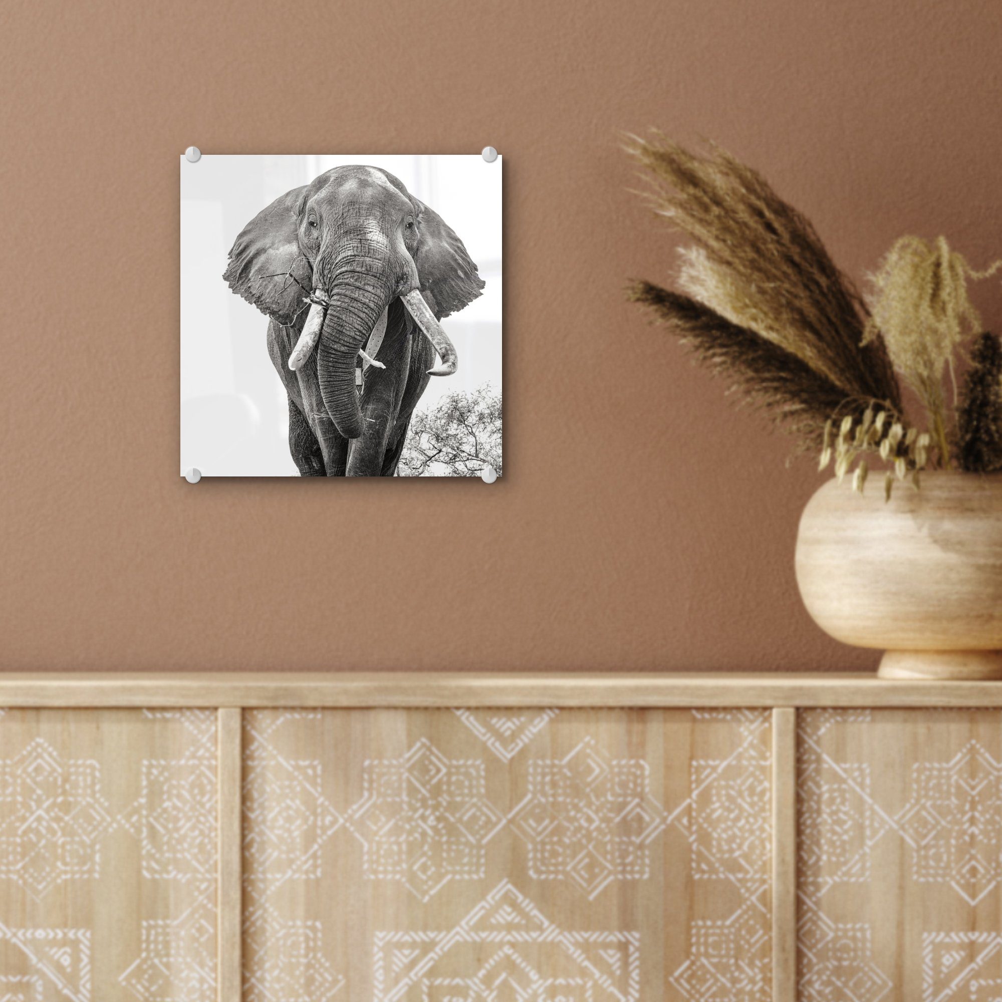 Glas St), (1 Acrylglasbild Wanddekoration MuchoWow Elefant und - Wandbild Bilder - Foto Porträt - - Schwarz Tiere auf - weiß, Glasbilder - auf Glas