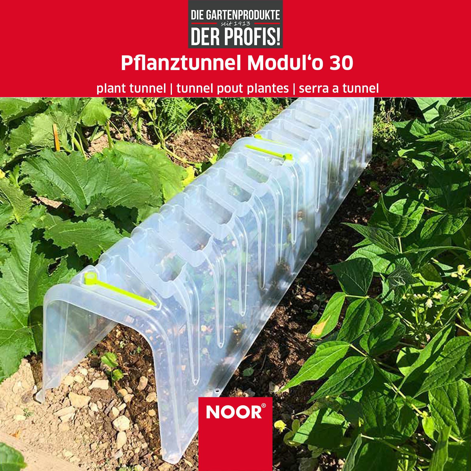 NOOR Pflanztunnel MODUL´O für Ihr Frühbeet, aus transparentem Kunststoff fü günstig online kaufen