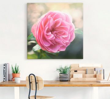 Artland Wandbild Rosa Rose im Gegenlicht, Blumen (1 St), als Leinwandbild in verschied. Größen