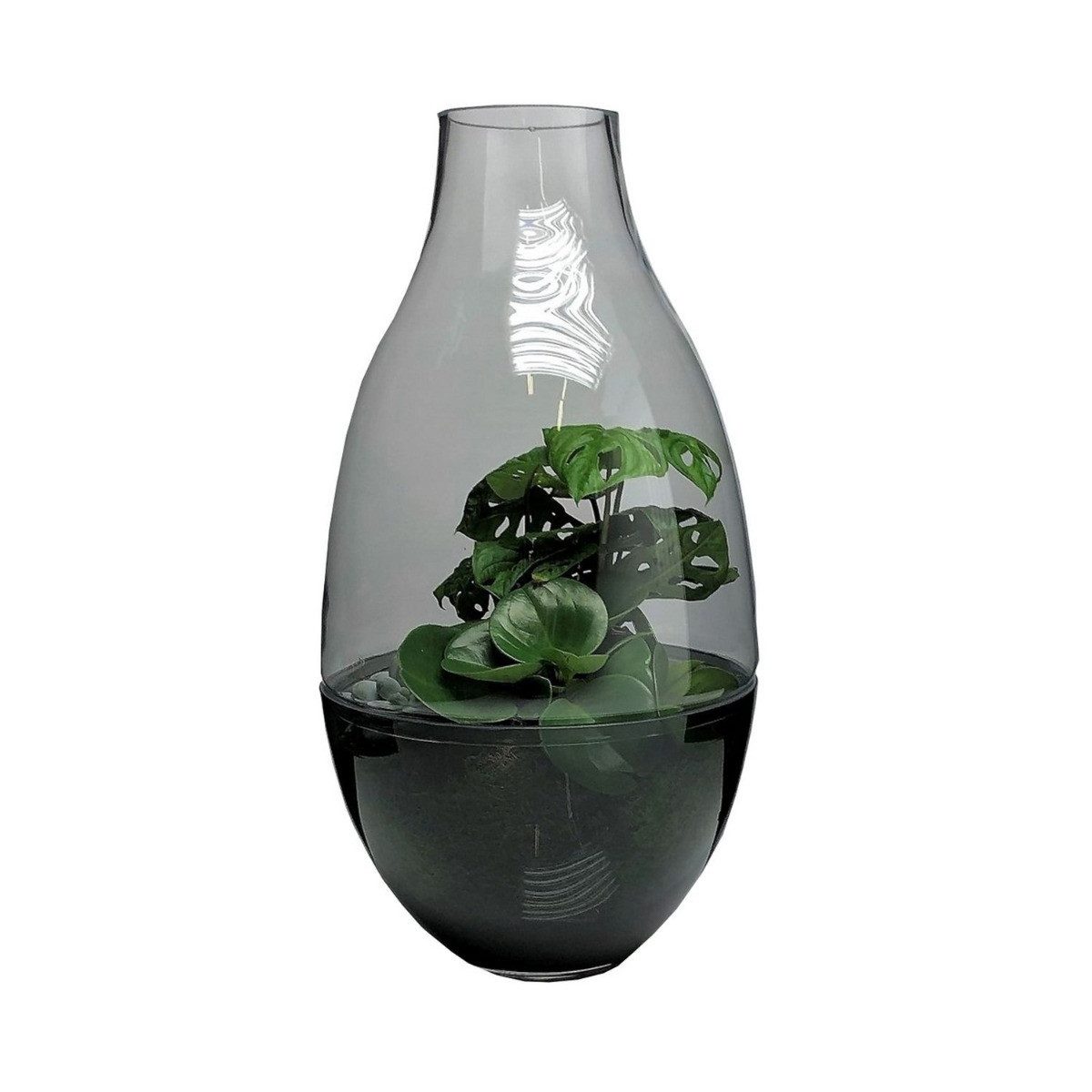 INNA-Glas Terrarium Glas Pflanzen Terrarium PALITA, klar, 64cm, Ø34cm