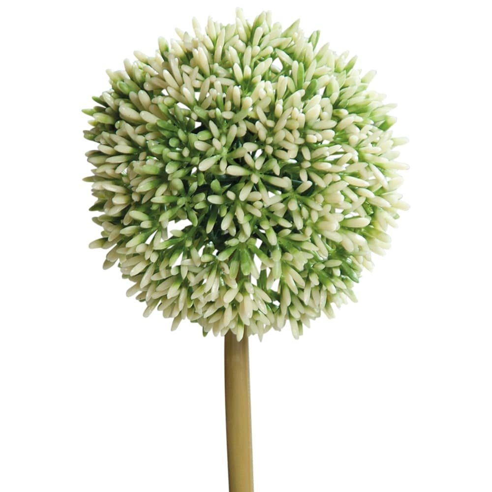 Kunstblume Lauchblüten Allium Kunstblumen Kunststoff Ø 11x67 cm – weiß Allium, matches21 HOME & HOBBY, Höhe 67 cm weiß-grün