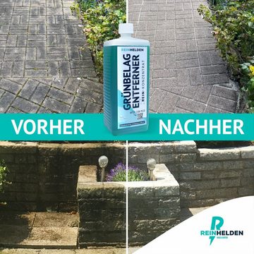 REINHELDEN Grünbelagentferner REIN-Konzentrat Grünbelagentferner (1-St. 1000 ml)