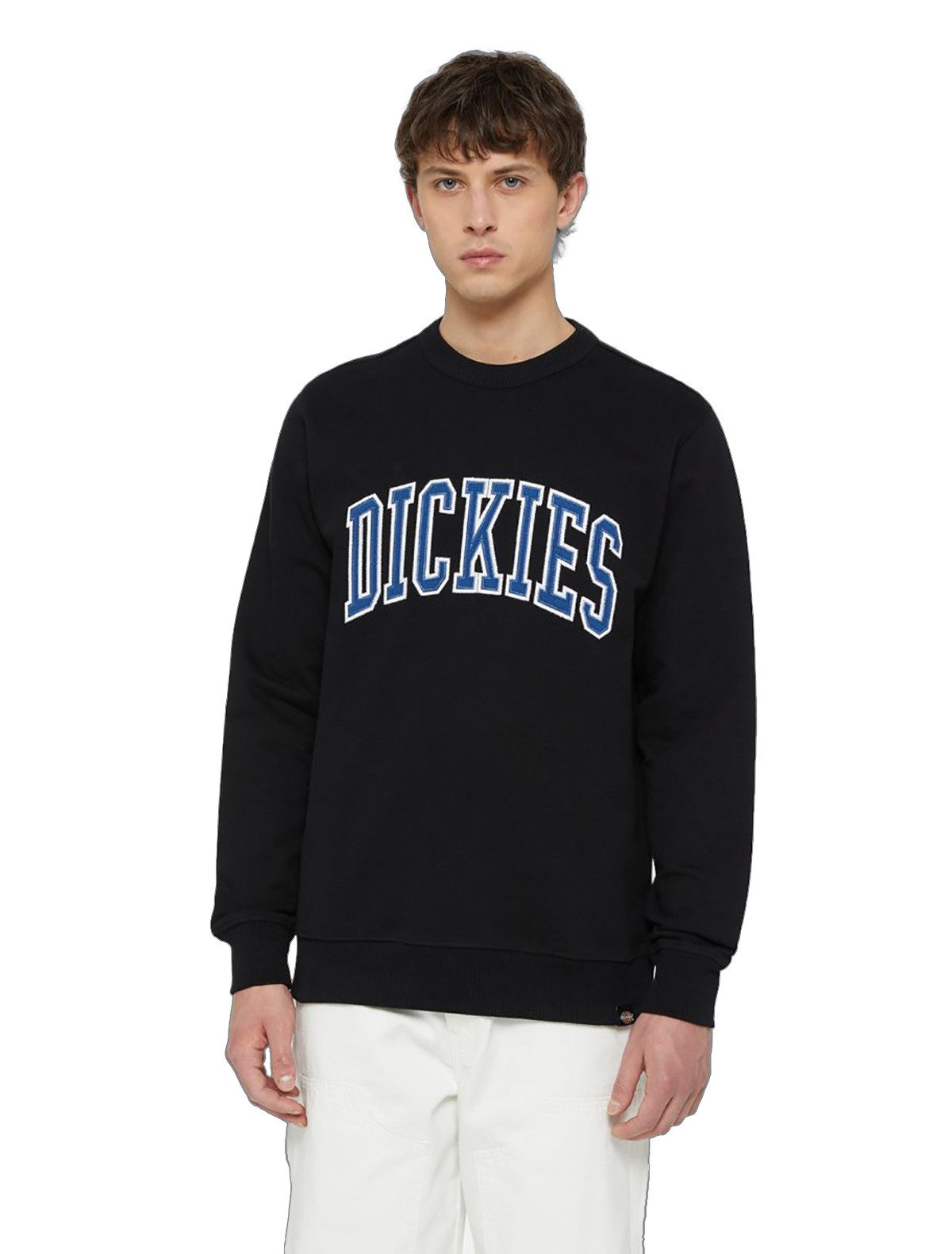Dickies Sweater Aitkin (1-tlg., kein Set) Authentisches Jersey mit Schlingenstruktur auf der Rückseite