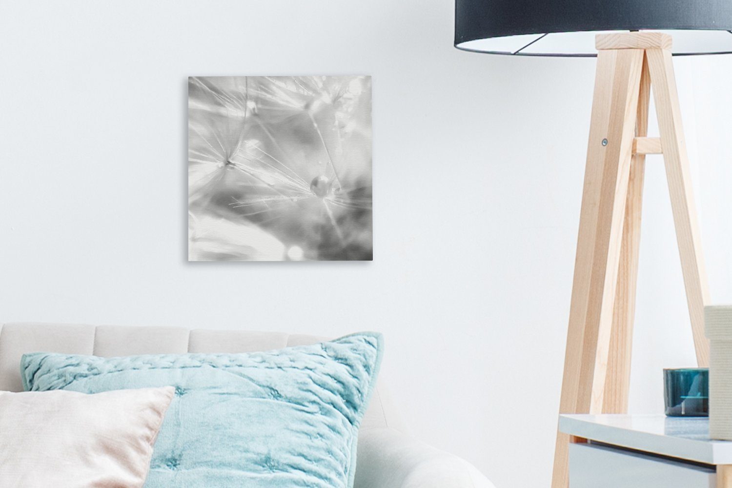 OneMillionCanvasses® Leinwandbild Ein Löwenzahnkeimling, Schlafzimmer St), Wohnzimmer (1 schwarz bedeckt und frühem - Tau Leinwand weiß, mit für Bilder