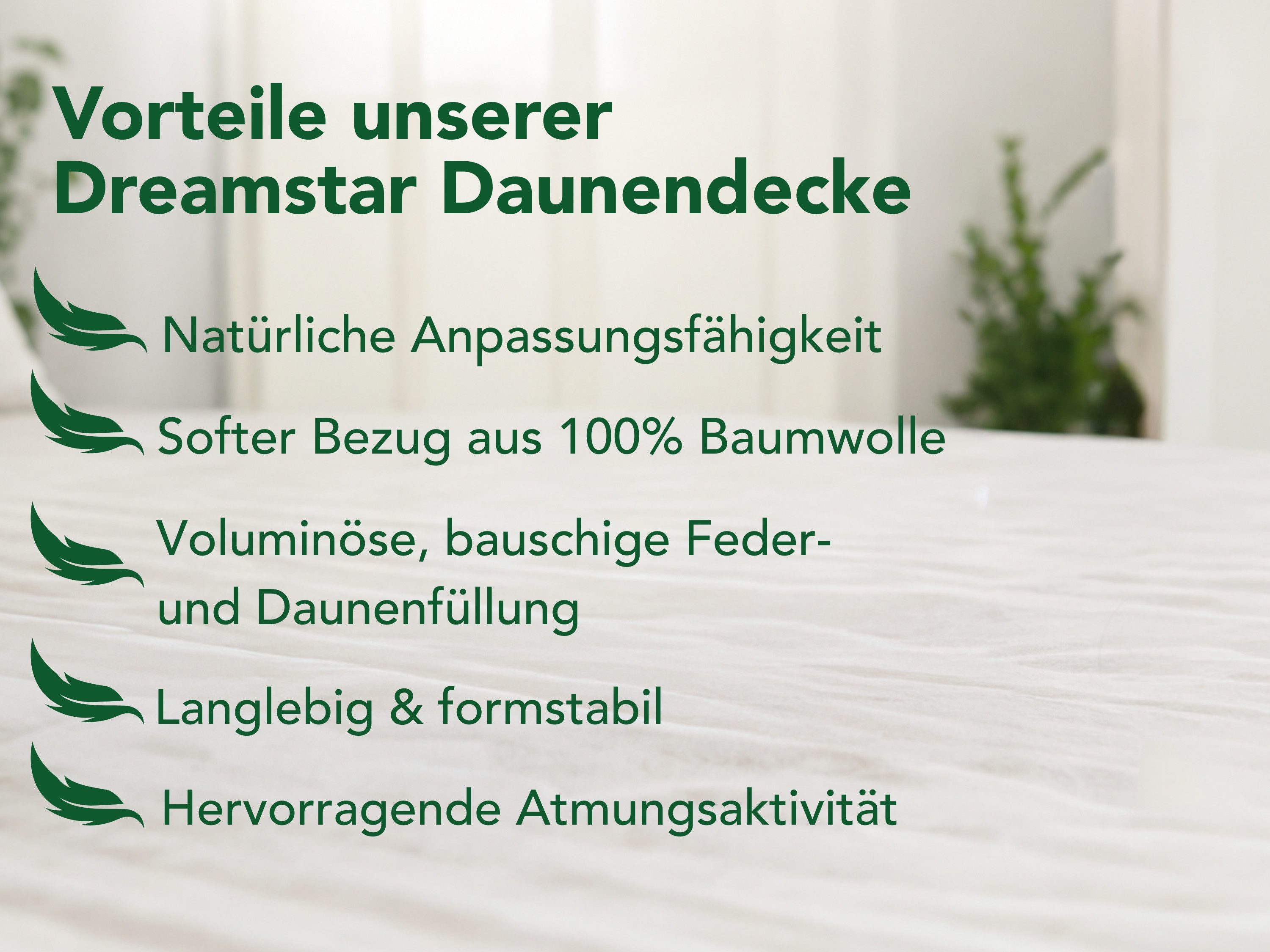 Dreamstar Daunenbettdecke Federbettdecke für Sommer oder Winter, Ganzjahresdecke, atmungsaktiv, Füllung: 70% Daunen, 30% Federn, Decke 135x200cm und 155x220cm,  – Bild 5 von 5