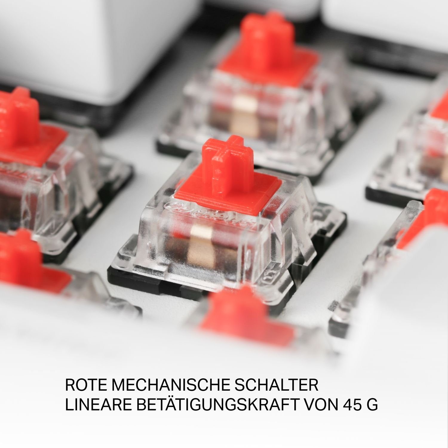 DELTACO Mechanische Mini Gaming Anti-Ghosting Farbe Gaming-Tastatur Tasten Tastatur (RGB-LED-Beleuchtung, Beleuchtung 62 RGB N-Key-Rollover, weiß) 100% LED