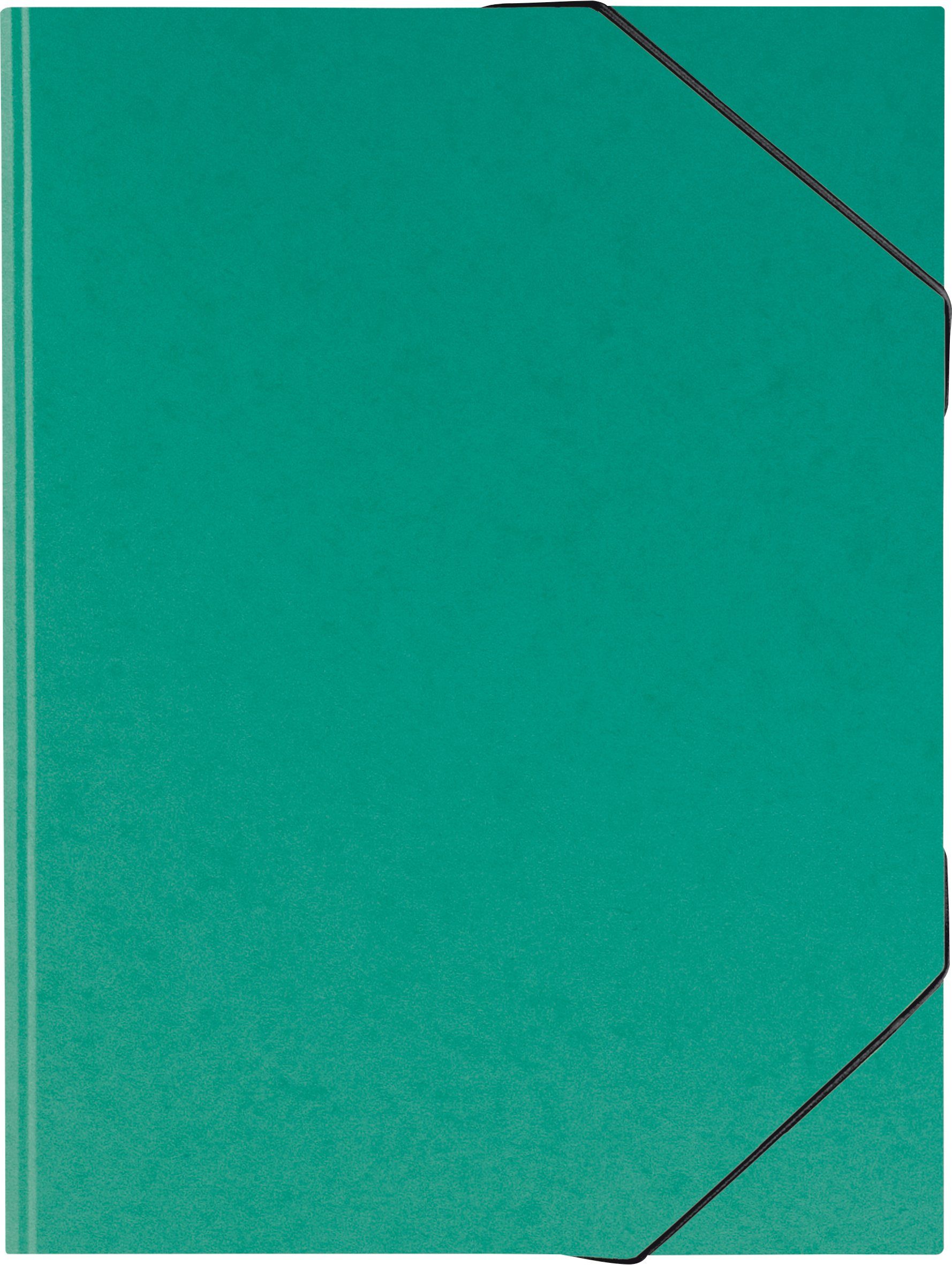 BRUNNEN Organisationsmappe BRUNNEN 104708359 Sammelmappe FACT!plus grün