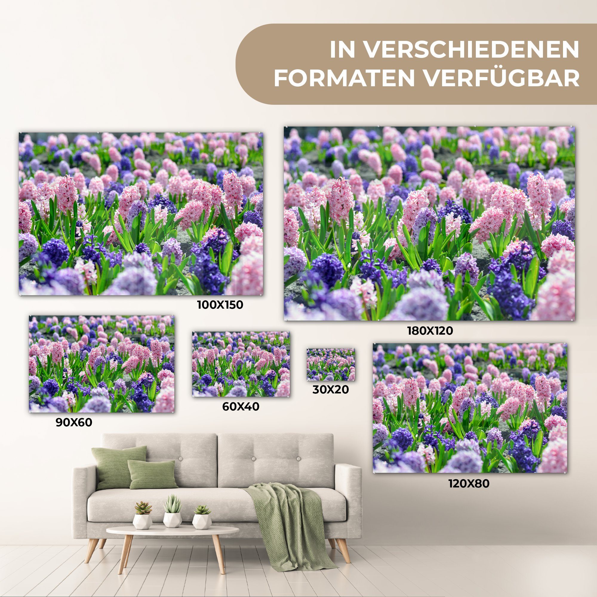 Schlafzimmer Frühling, - - Hyazinthe Acrylglasbild (1 Wohnzimmer & Acrylglasbilder Farben MuchoWow St),