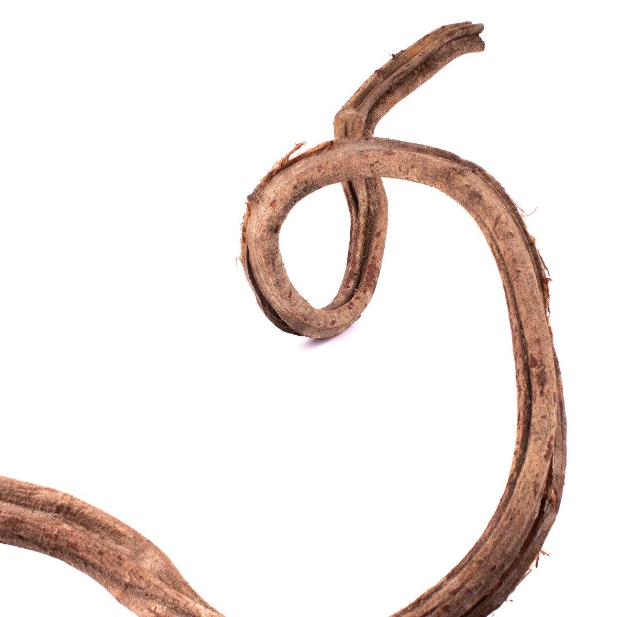 Trockenblume Trockengirlande Cipo Rosca Tangun, Natur, 100-120cm, INNA-Glas, Höhe 120.0 cm