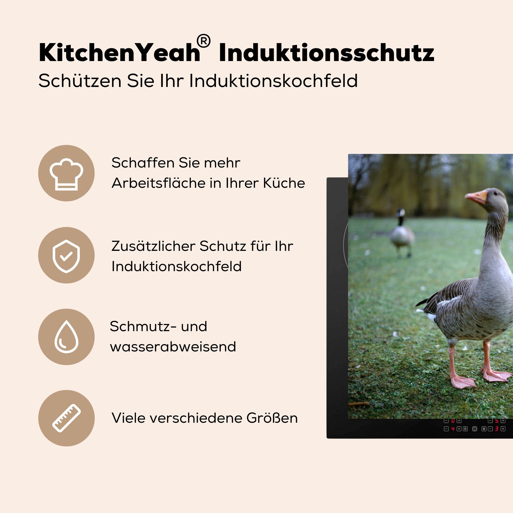 - küche Vogel Ceranfeldabdeckung, (1 Graugans 78x78 Herdblende-/Abdeckplatte Vinyl, cm, MuchoWow für Gras, Arbeitsplatte - tlg),