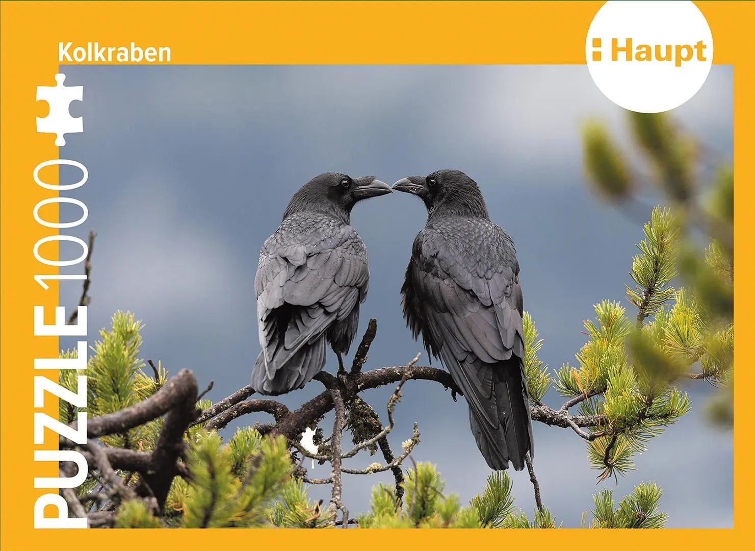 Haupt Puzzle Kolkraben - Puzzle, 1000 Puzzleteile