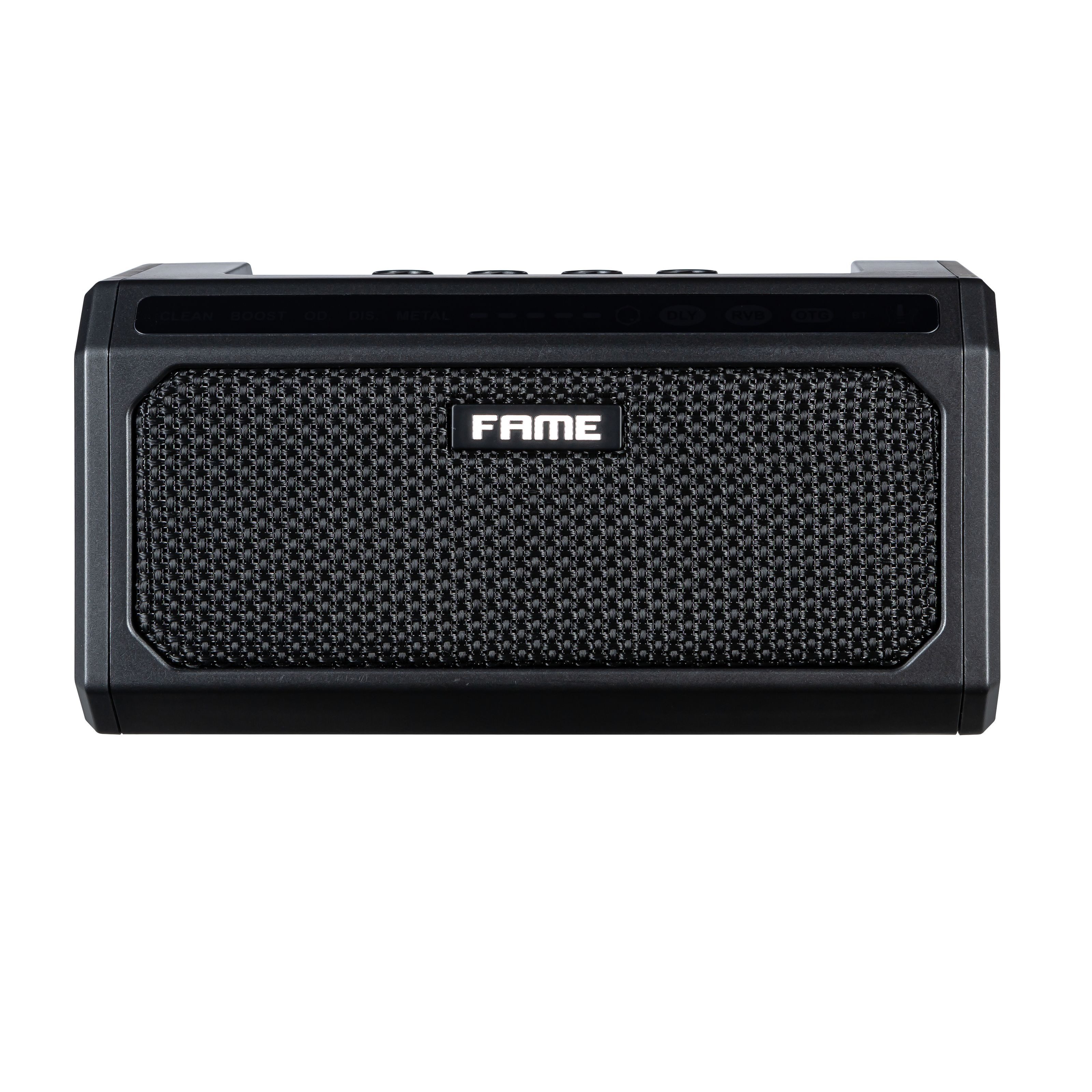 FAME Verstärker (PGA-08 Portable Guitar Amp - leichter Combo Verstärker für E-Gitarre)
