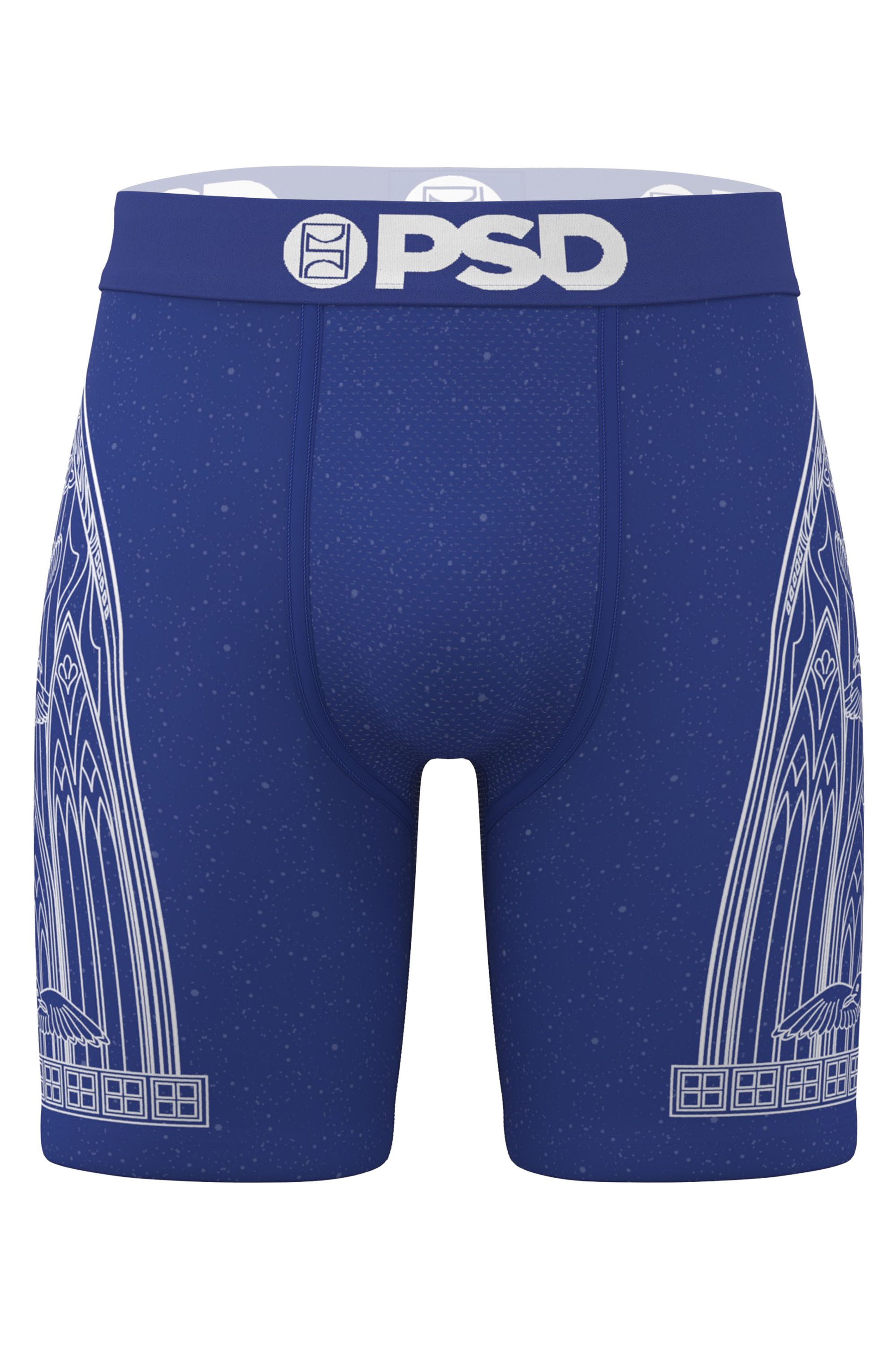 Boxershorts CONVICTION Herren