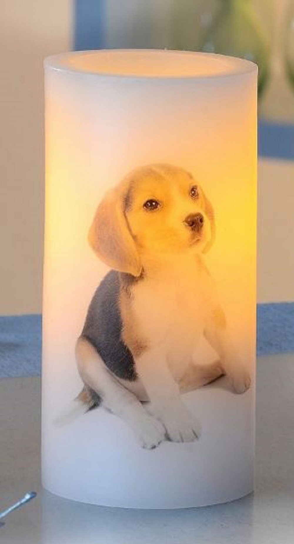 Luna24 simply great ideas... LED-Kerze LED Kerze mit Hundemotiv Welpe Beagle, 2er-Set Beagle, 2er-Set Beagle