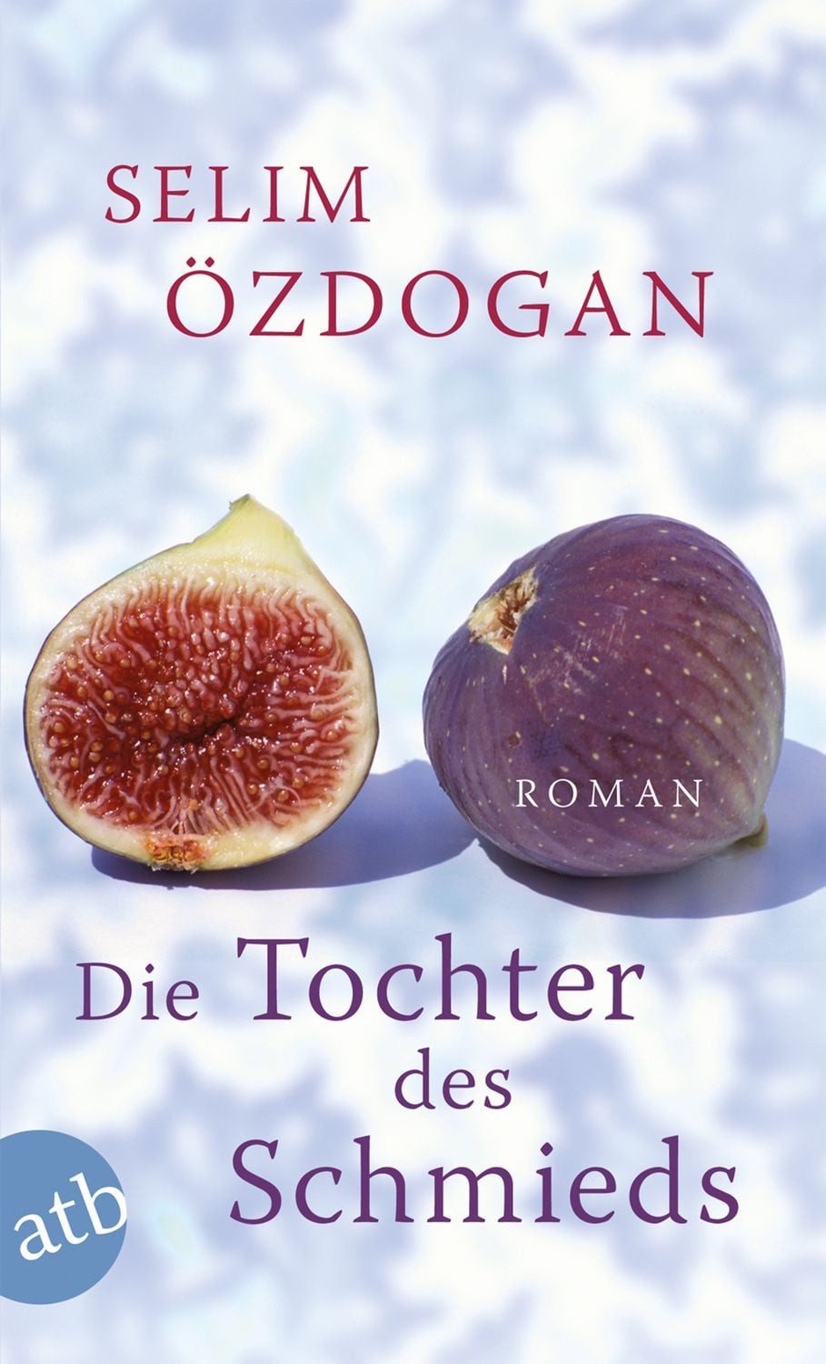 Die Tochter des Schmieds / Selim Özdogan, Roman