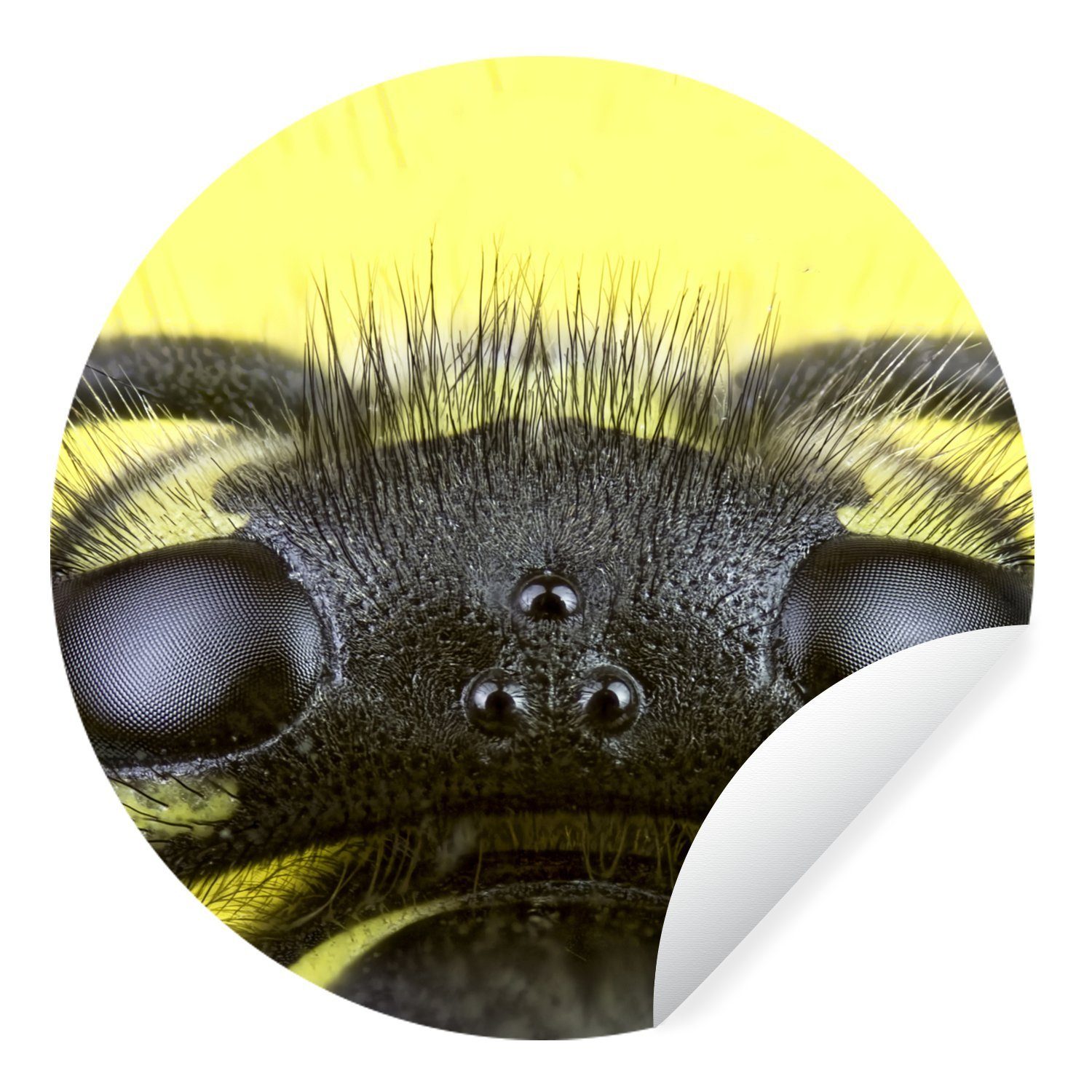 MuchoWow Wandsticker Wespe - Insekten - Gelb (1 St), Tapetenkreis für Kinderzimmer, Tapetenaufkleber, Rund, Wohnzimmer