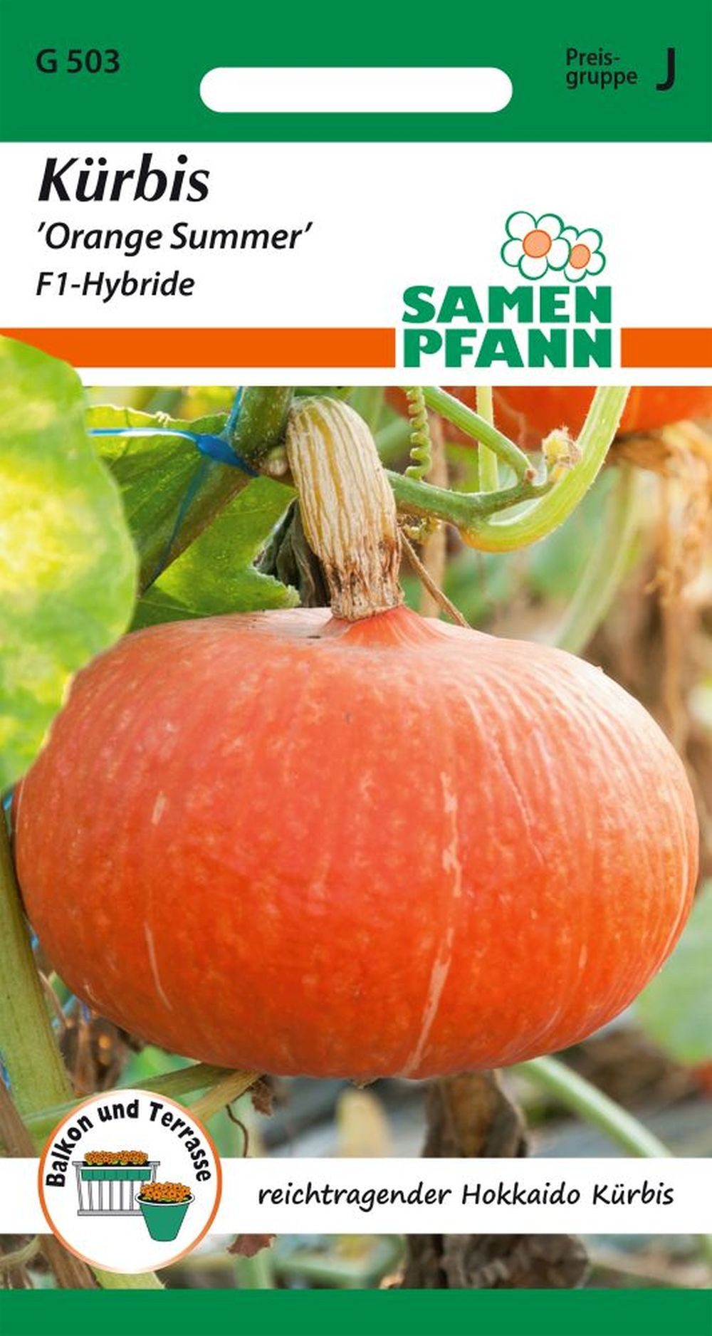 SAMEN PFANN Gemüsesamen Kürbis, Orange Summer F1 (Hokkaido-Kürbis) - Kürbis-Samen Saatgut, Cucurbita maxima