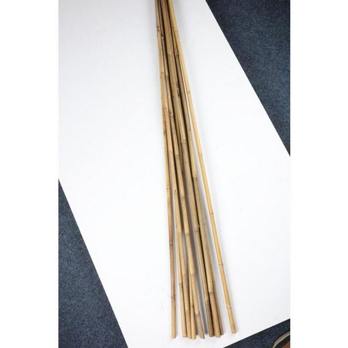 BURI Rankhilfe 20x Bambus Stangen 10er 150cm Kletterpflanzen Stütze Binder Hilfe Garten Sticks