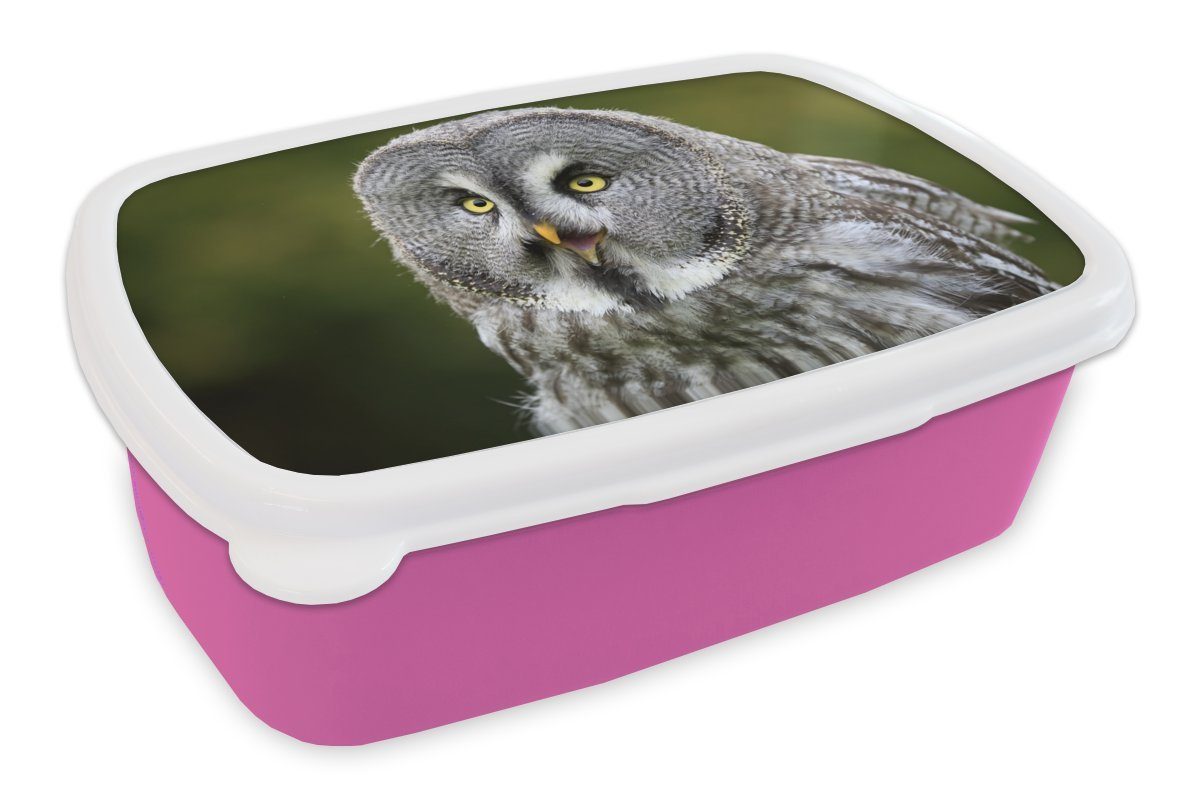 MuchoWow Lunchbox Vogel - Eule - Grau, Kunststoff, (2-tlg), Brotbox für Erwachsene, Brotdose Kinder, Snackbox, Mädchen, Kunststoff rosa