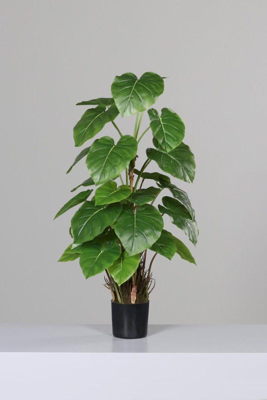 Kunstpflanze, DPI, Höhe 80 cm, Grün B:35cm H:80cm D:12cm Kunststoff