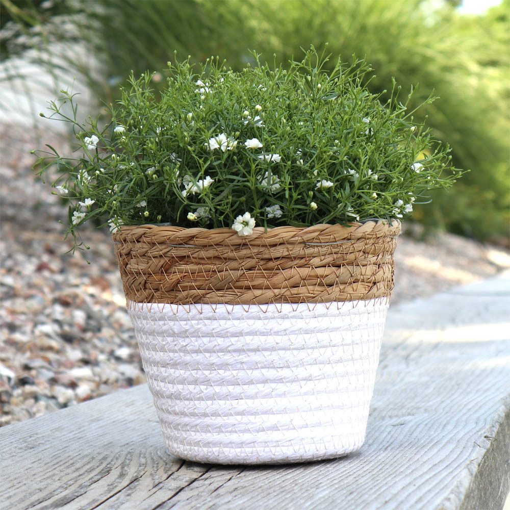 Grafelstein Blumentopf Pflanzkorb BREEZY weiß mit günstig online kaufen