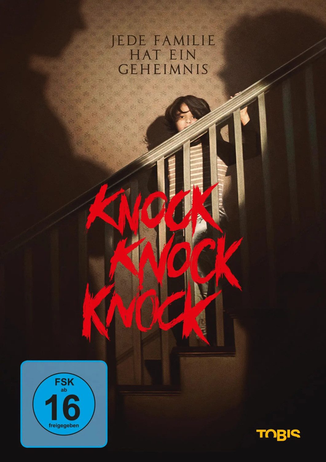 DVD Knock Knock Knock