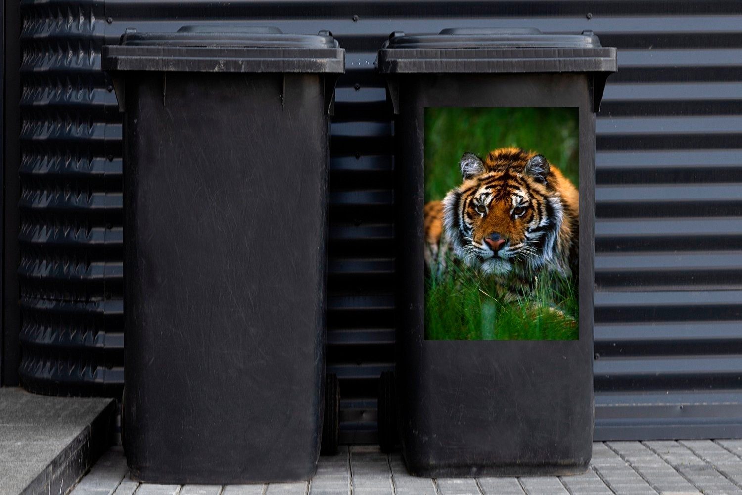 Wandsticker (1 Mülltonne, Sibirischer Container, Tiger Mülleimer-aufkleber, MuchoWow im St), Gras Abfalbehälter Sticker, versteckt