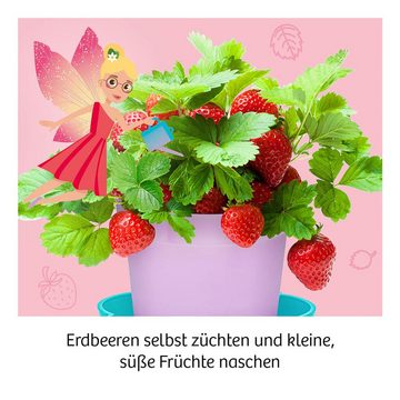 Kosmos Spiel, Feen-Erdbeeren