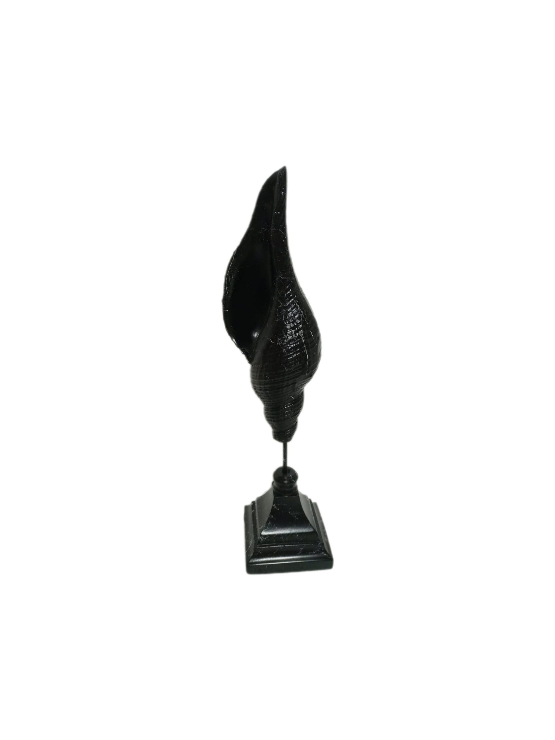moebel17 Dekofigur 2er Marmoroptik, Muschel aus Polyresin Set Dekofigur Skulptur Schwarz