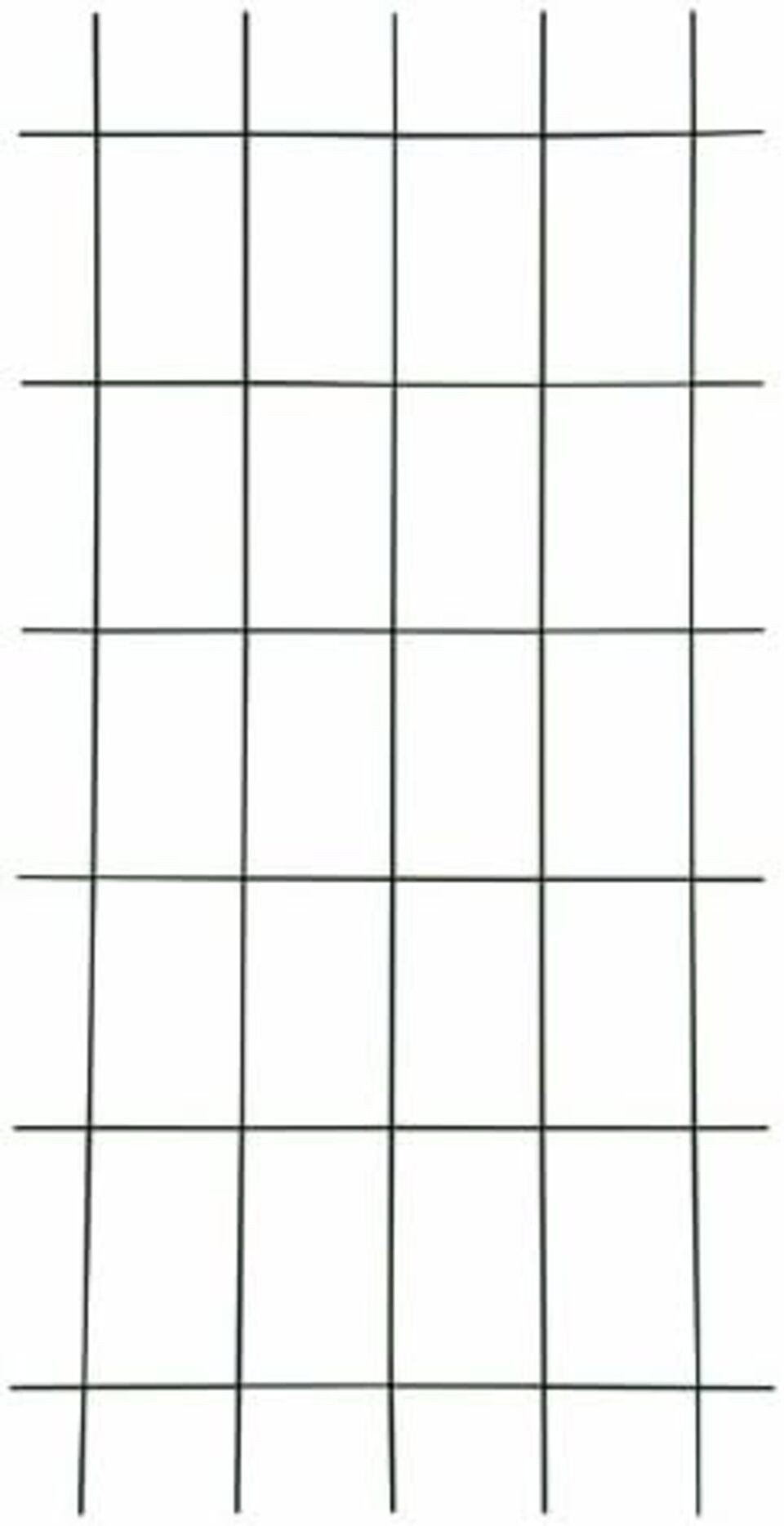 Spalier Gitterspalier in Braun 5 Streben, wetterfestes Metallspalier 75x150cm