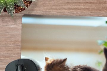 MuchoWow Gaming Mauspad Katze - Tier - Kätzchen (1-St), Mousepad mit Rutschfester Unterseite, Gaming, 40x40 cm, XXL, Großes