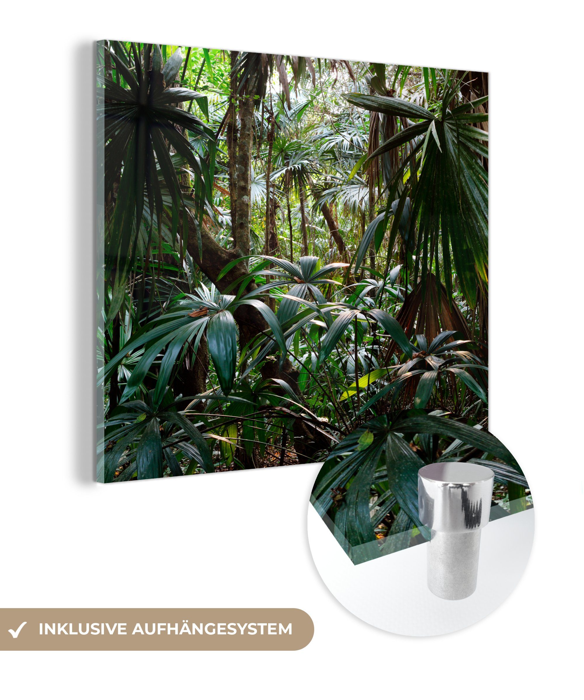 Foto MuchoWow auf im Glas Regenwald, Pflanzen - - Glasbilder St), Wandbild Glas (1 Bilder bunt Wanddekoration Acrylglasbild auf -