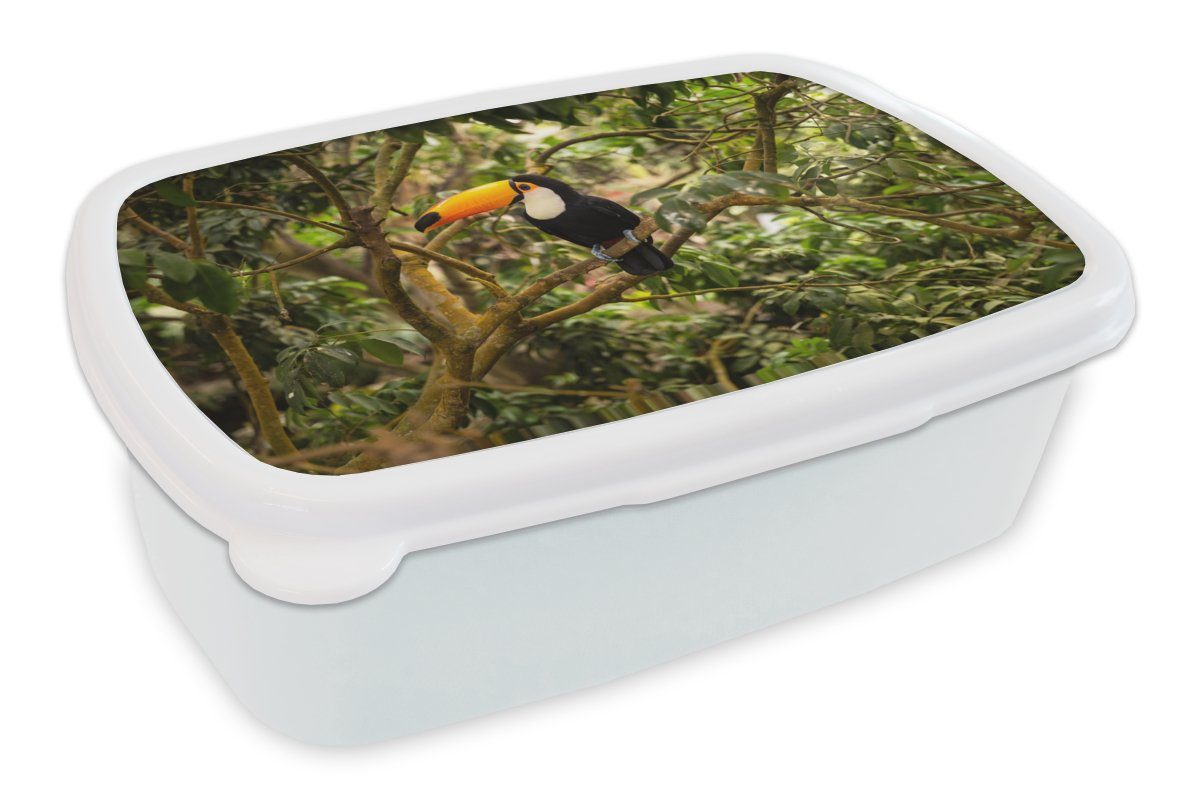 MuchoWow Lunchbox Vogel - Tukan - Dschungel - Natur - Tropisch, Kunststoff, (2-tlg), Brotbox für Kinder und Erwachsene, Brotdose, für Jungs und Mädchen weiß