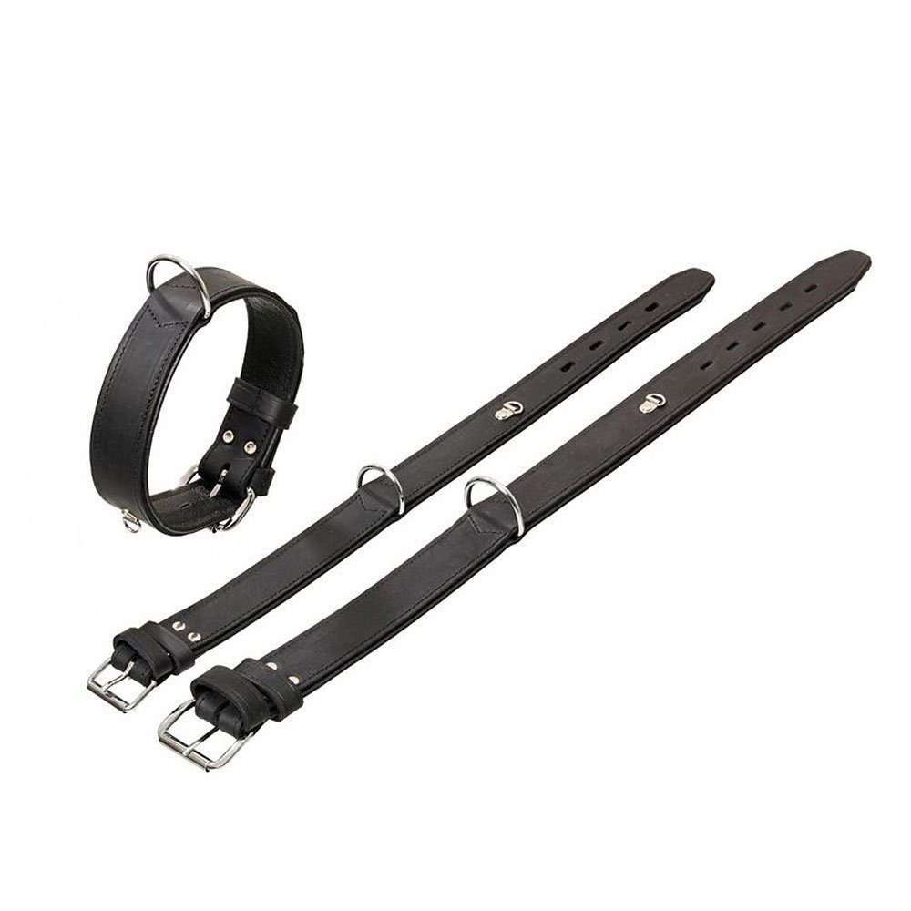 Hunde-Halsband Karlie Rondo Halsband mit Ring für Adresstube - Schwarz