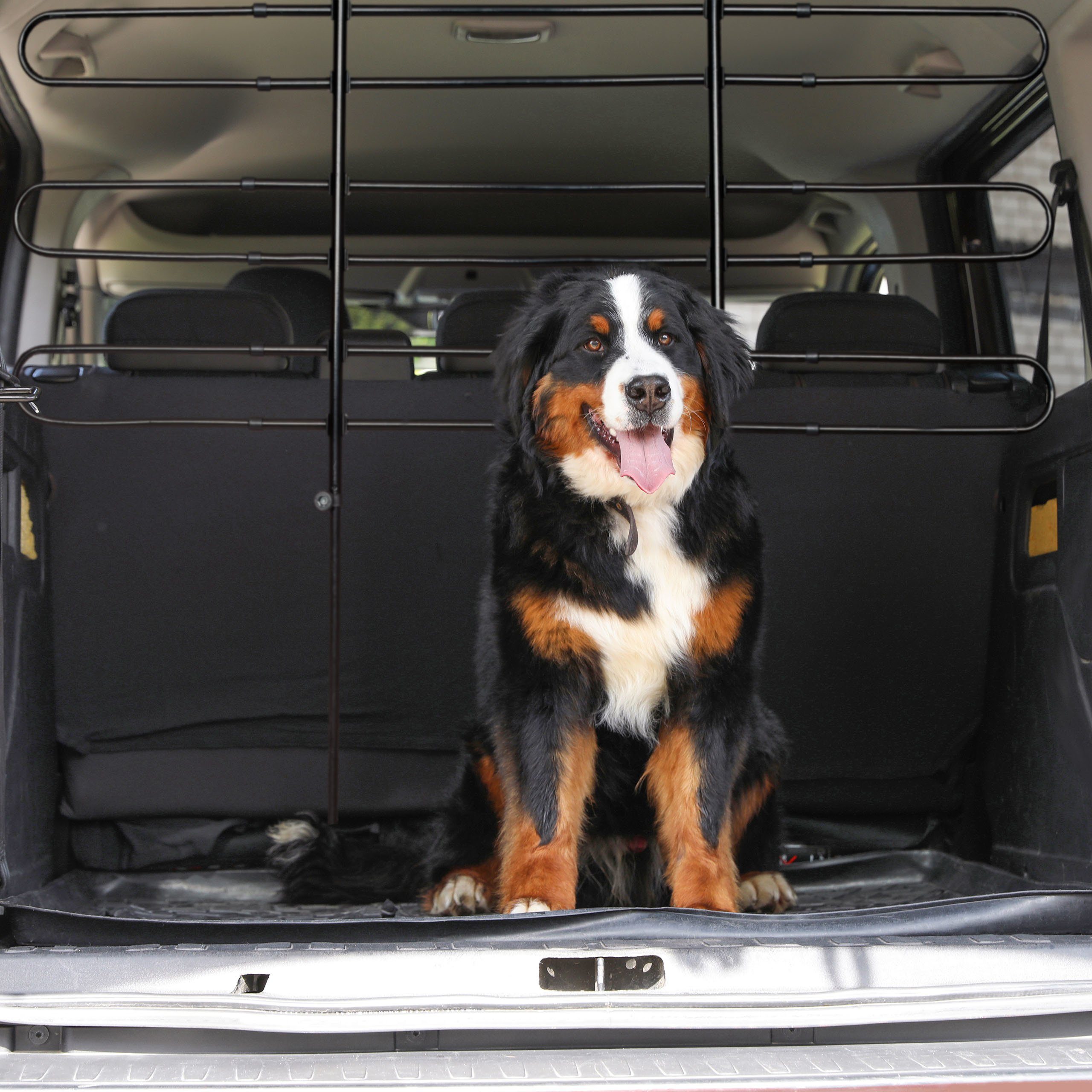 relaxdays Hundegitter Auto