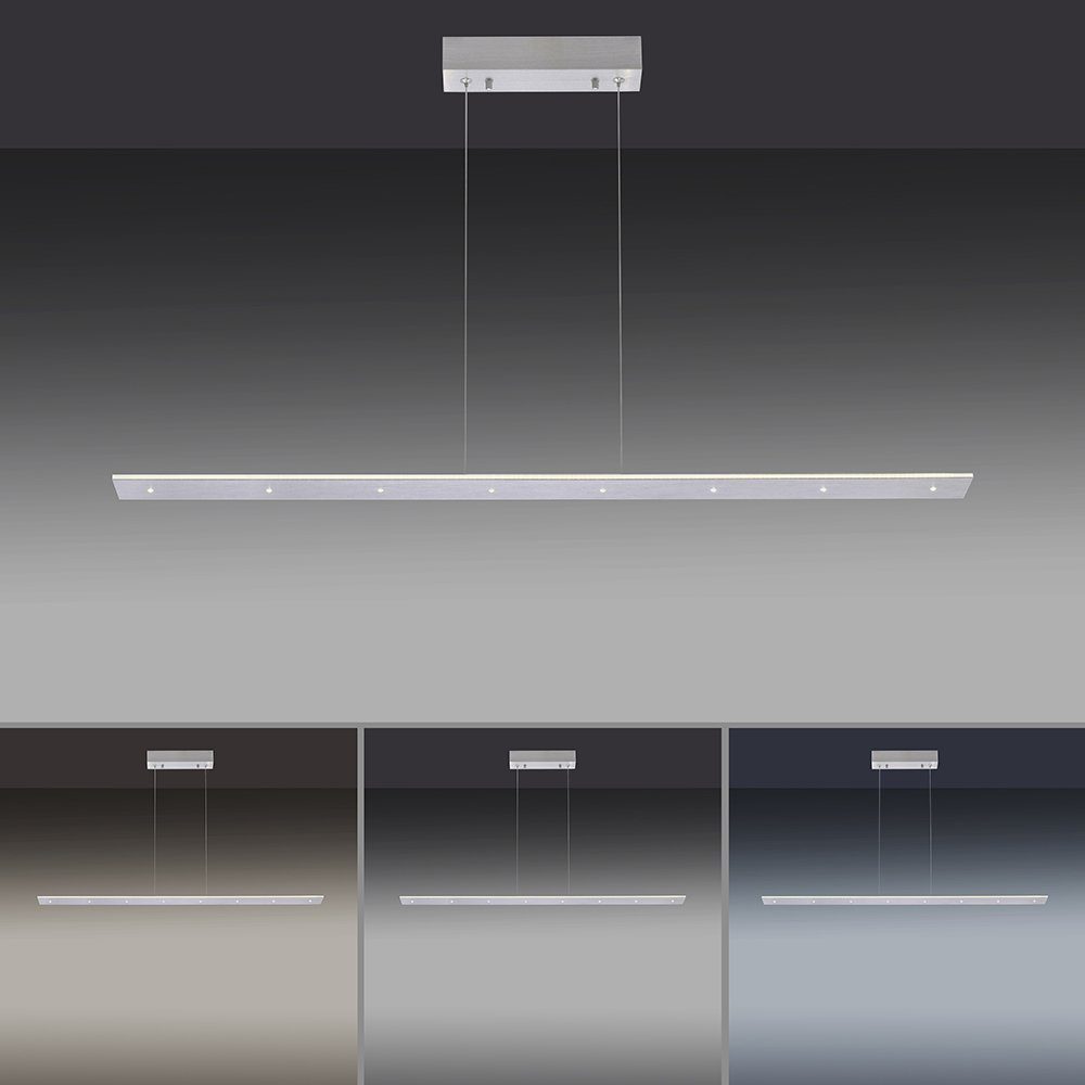 Paul Neuhaus LED Pendelleuchte Touchdimmer, PURE dimmbar, warmweiß-tageslichtweiß, 14xLED-Board/1W/2700-5000K, Farbsteuerung, COSMO, Touchdimmer Memoryfunktion, Pendelleuchte CCT LED stufenlos