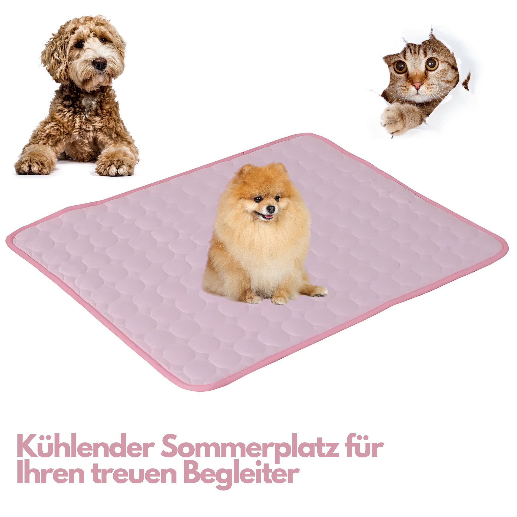 HS.SUPPLY Hundematte kühlende Matte für Ihr Haustier, Selbstkühlend & Atmungsaktiv, Ideal für Hunde oder Katzen