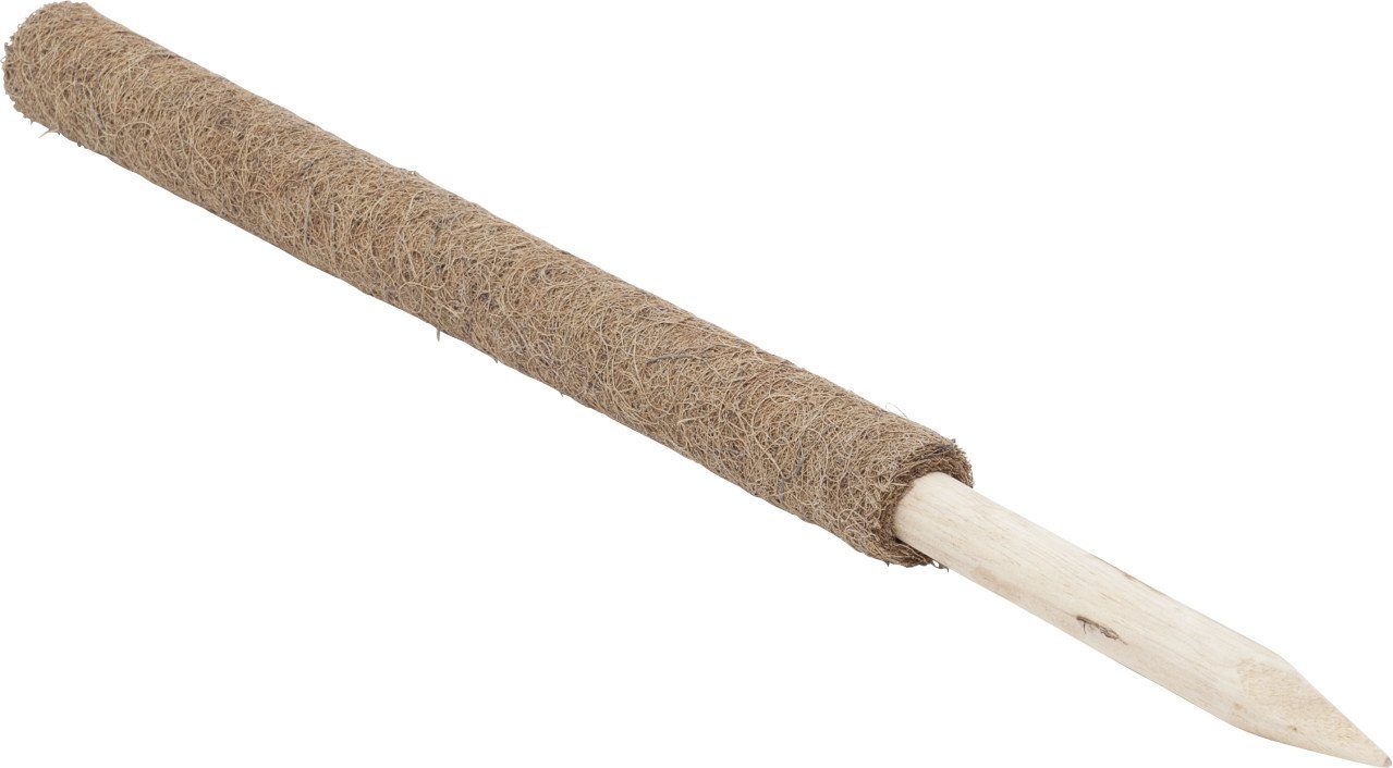 Windhager Rankhilfe Windhager Kokos-Pflanzstab 60 cm günstig online kaufen