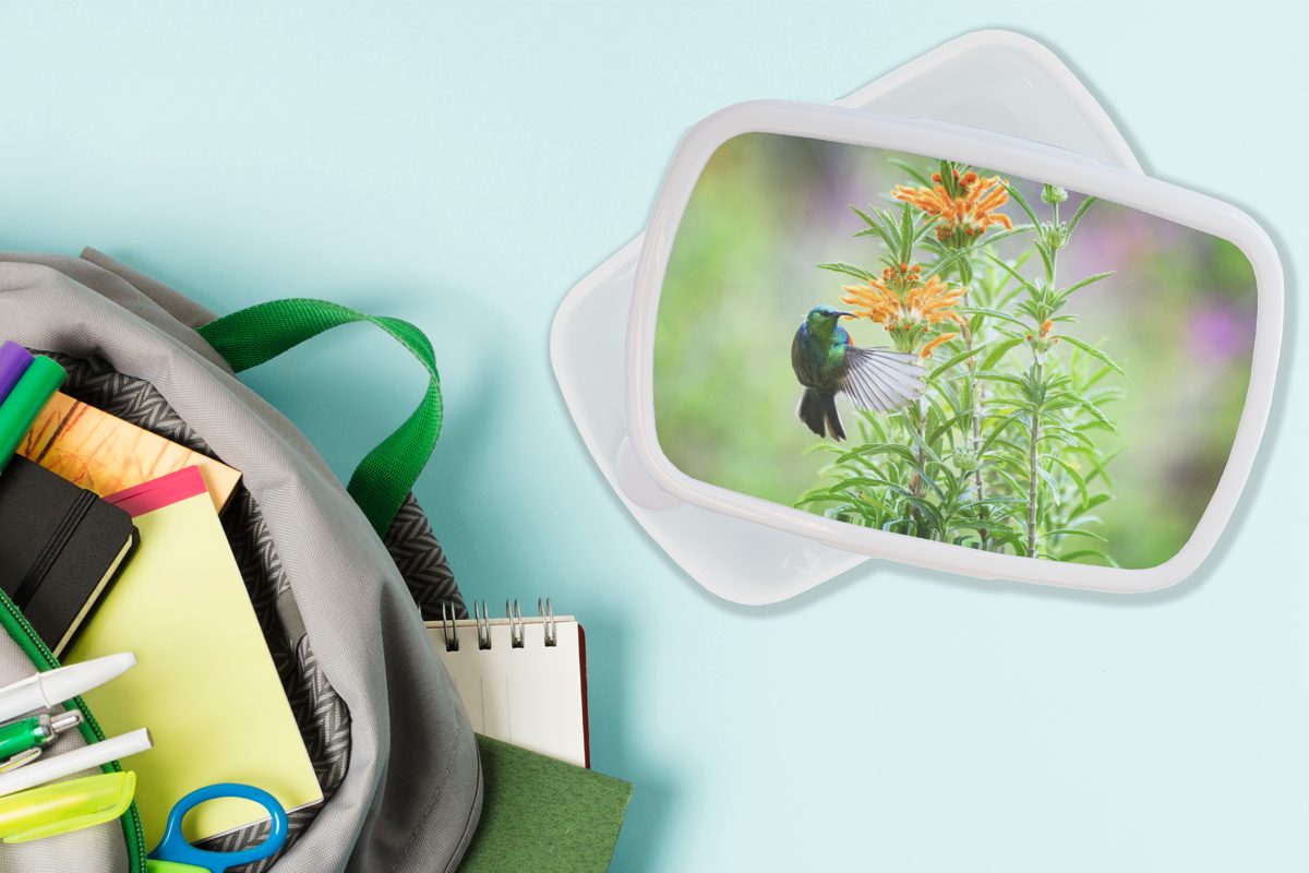 MuchoWow Lunchbox Nahaufnahme eines orangefarbenen, für neben Erwachsene, und Kunststoff, und Pflanzen weiß Vogels bunten Brotbox Kinder mit Jungs Brotdose, Mädchen für (2-tlg)