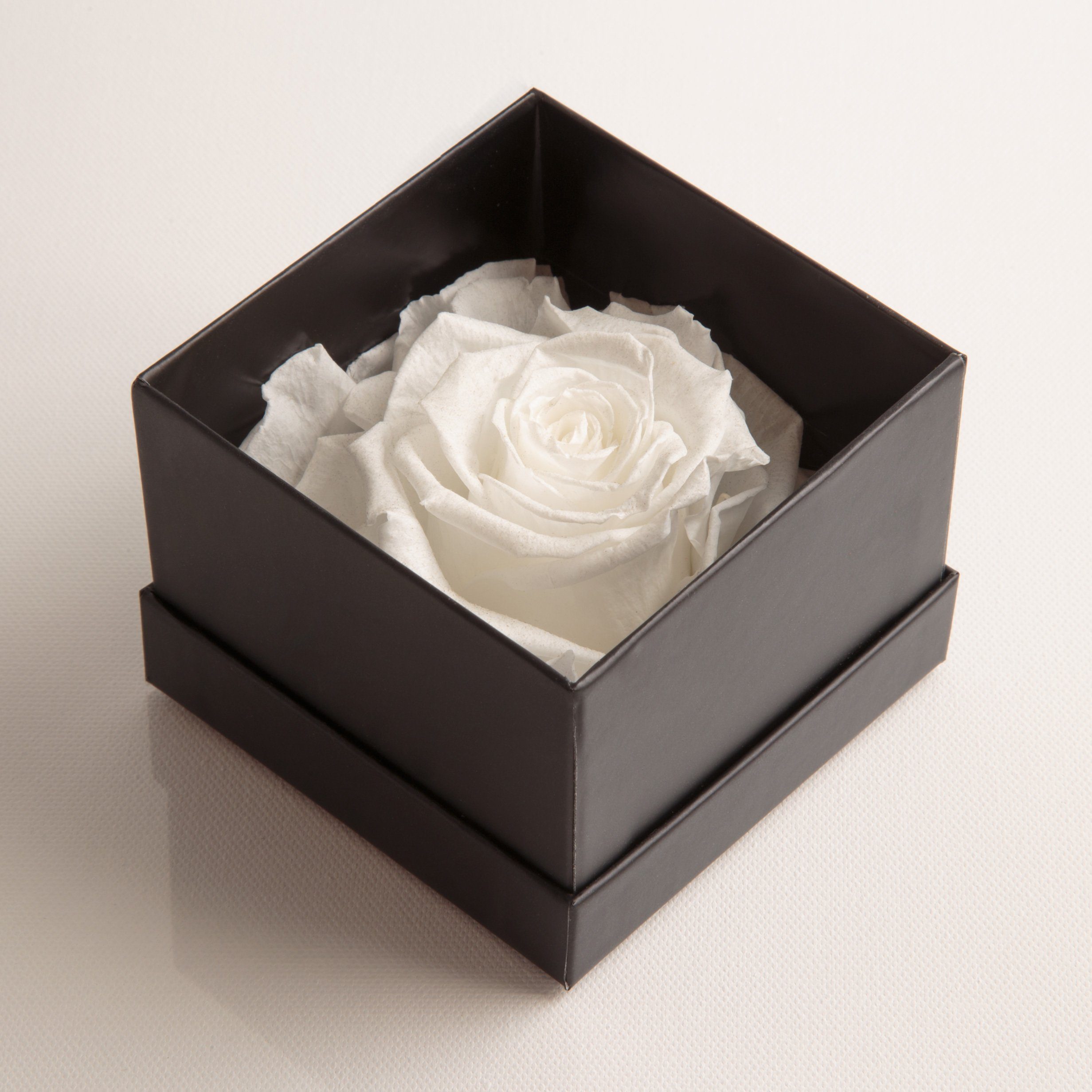 Kunstblume Infinity Rose SCHULZ Höhe Heidelberg, Rose Liebesbeweis Box You Idee Echte konserviert cm, Love Rose, Weiß 6 ROSEMARIE I Geschenk