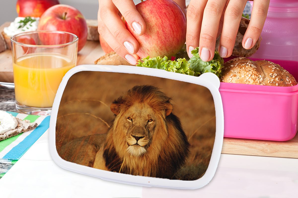 Kunststoff, (2-tlg), Snackbox, Kunststoff Kinder, Brotdose Löwe Jagd, Erwachsene, MuchoWow Mädchen, - Porträt rosa für - Brotbox Lunchbox