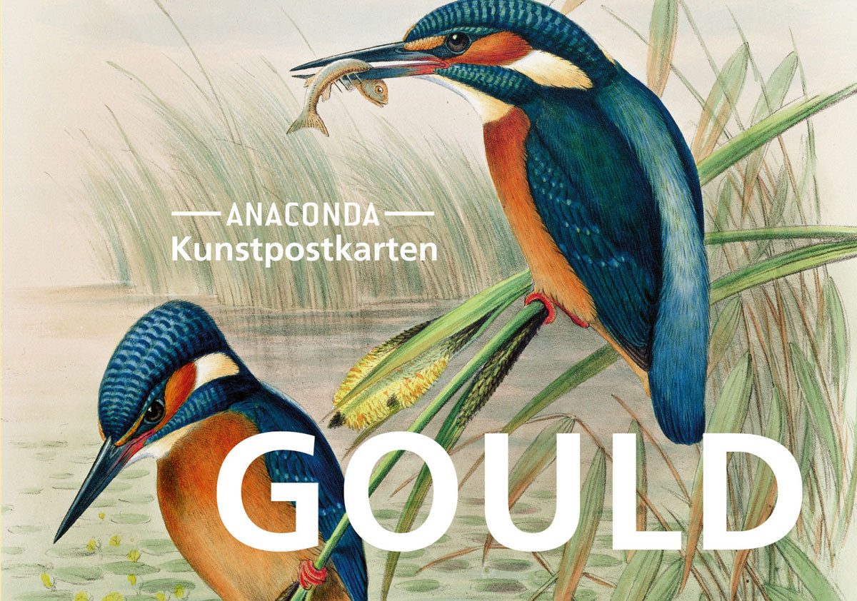 Anaconda Verlag Postkarte Postkarten-Set John Gould: 18 Kunstpostkarten aus hochwertigem Kart