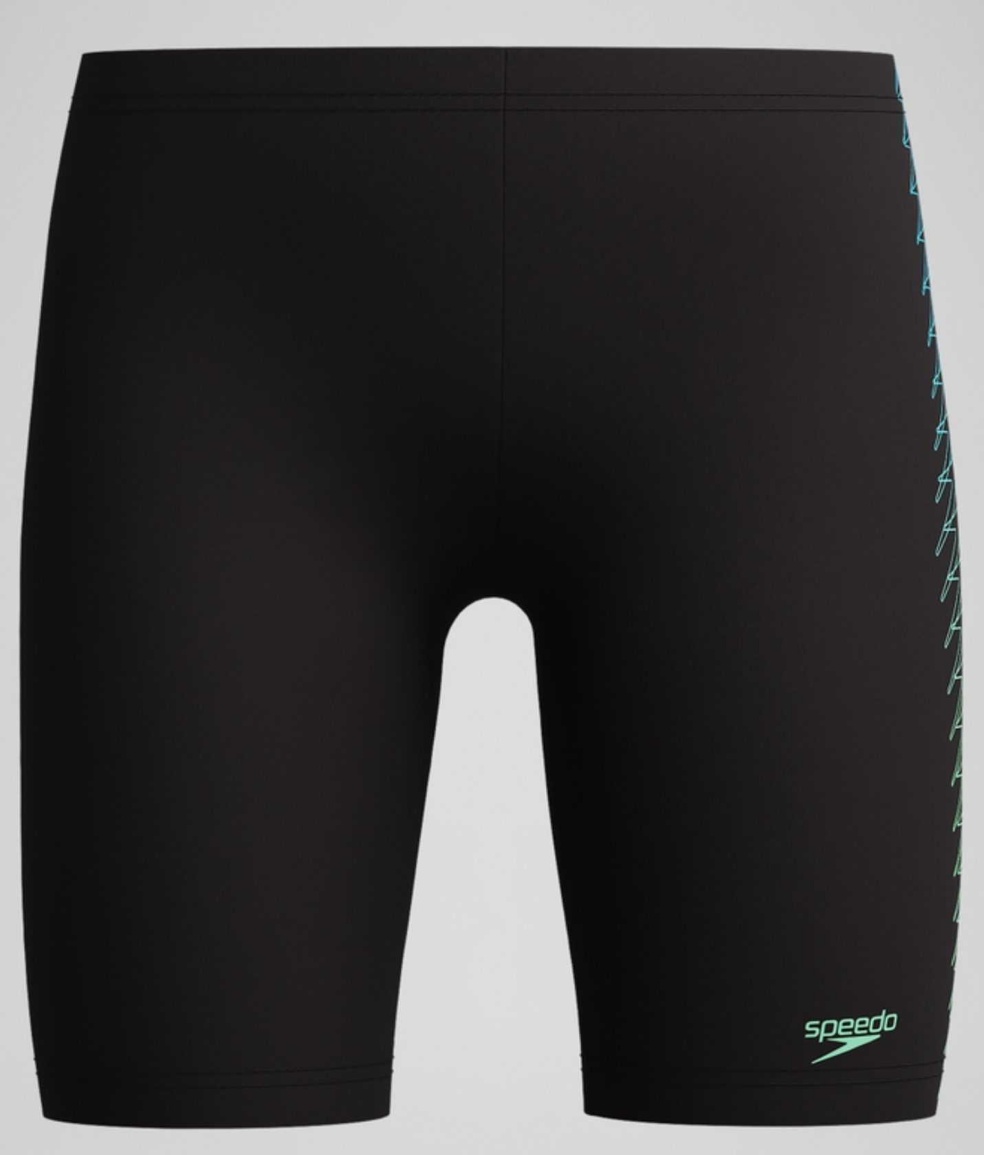 Speedo Boxer-Badehose PLMT PRNT JAM GREEN
