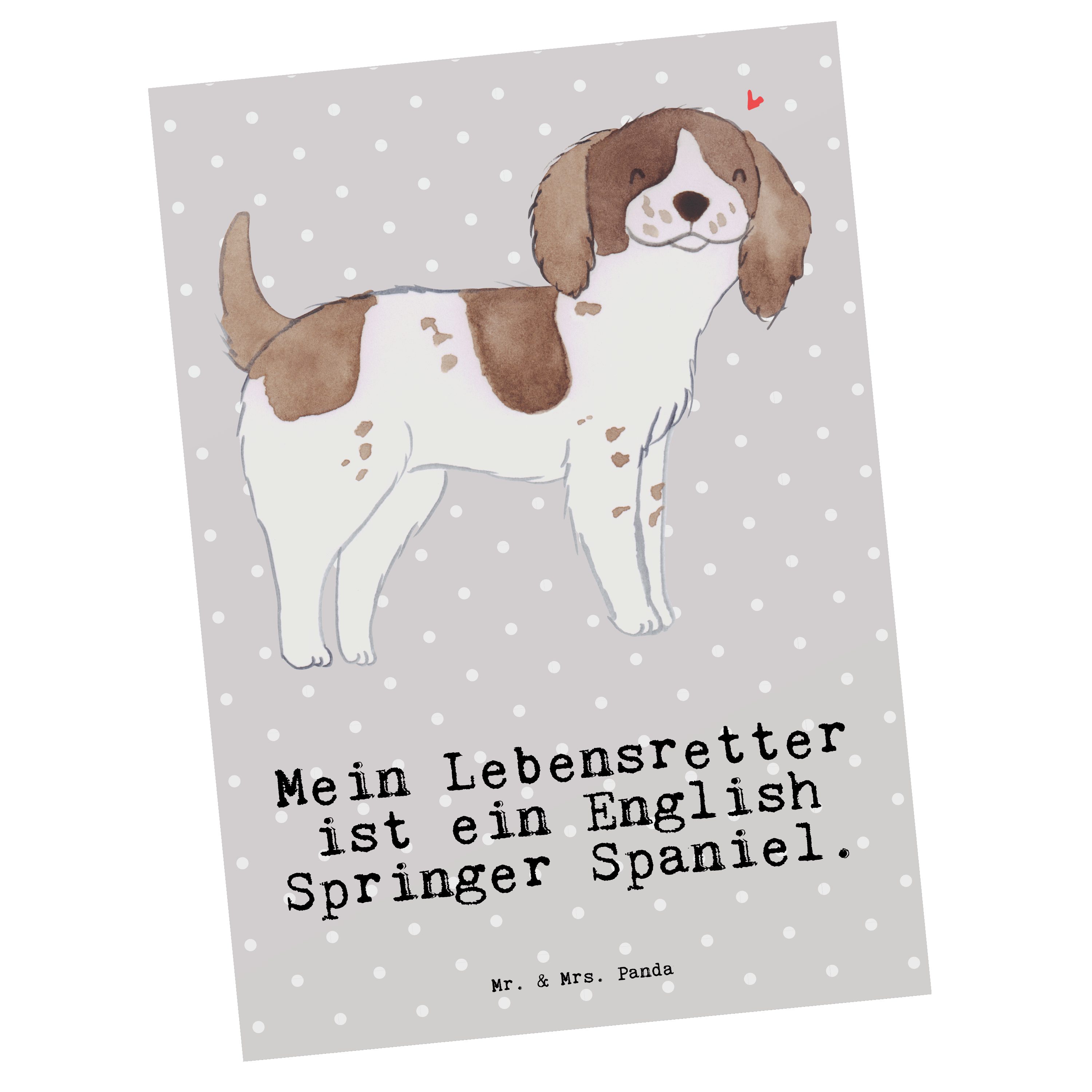 Spaniel & Hund - Grau English Postkarte Geschenk, Springer - Panda Lebensretter Mr. Mrs. Pastell