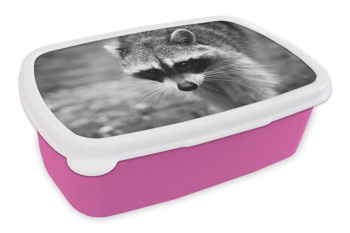 Lunchbox Kunststoff Brotbox Brotdose Kinder, für (2-tlg), Beutezug, MuchoWow Kunststoff, Snackbox, Mädchen, Erwachsene, Waschbär rosa auf