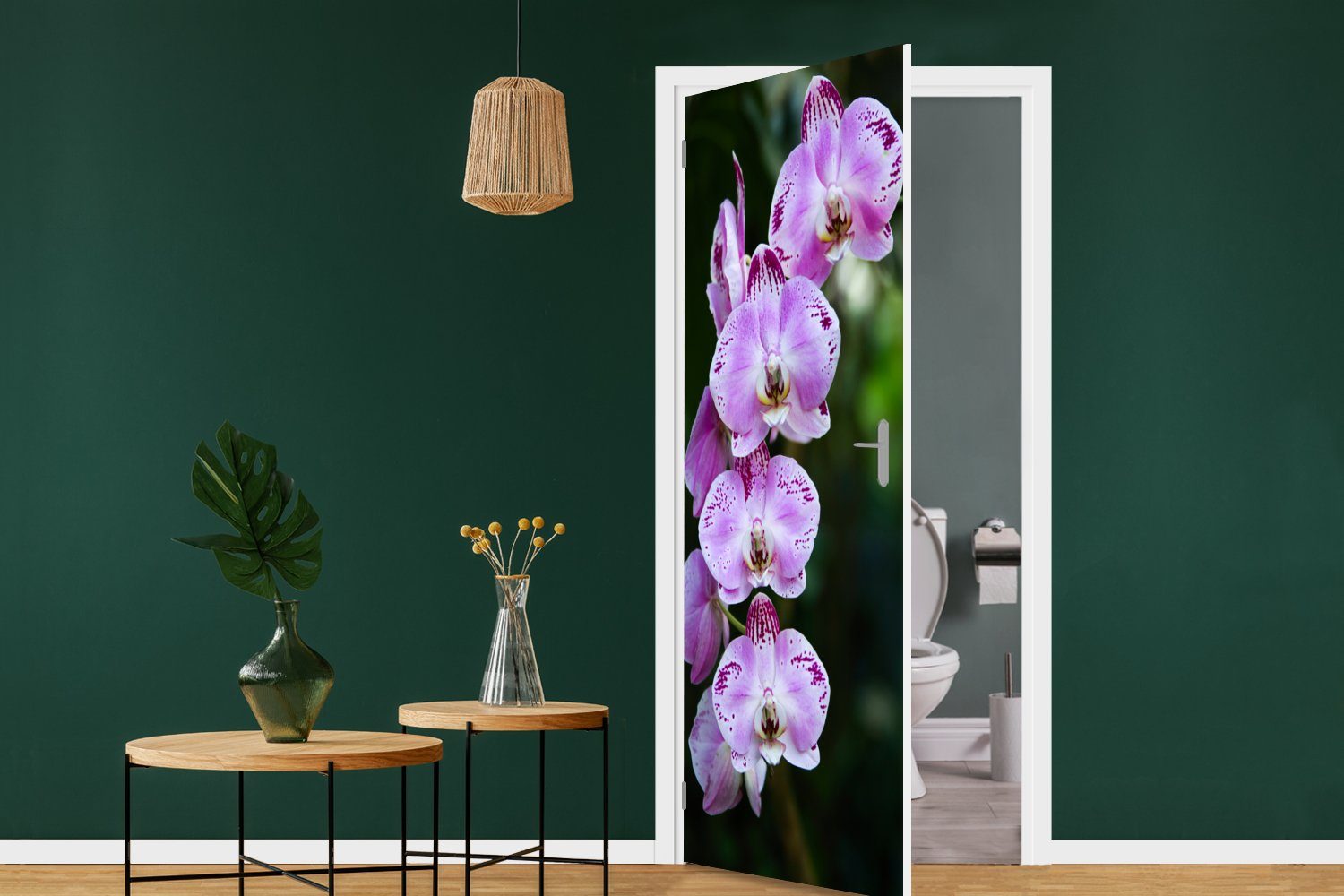 cm Fototapete MuchoWow für Tür, 75x205 Orchideen, Blühende St), Matt, Türaufkleber, (1 bedruckt, Türtapete