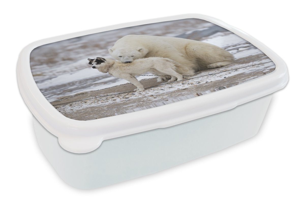 MuchoWow Lunchbox Hund - Eisbär - Freundschaft, Kunststoff, (2-tlg), Brotbox für Kinder und Erwachsene, Brotdose, für Jungs und Mädchen weiß